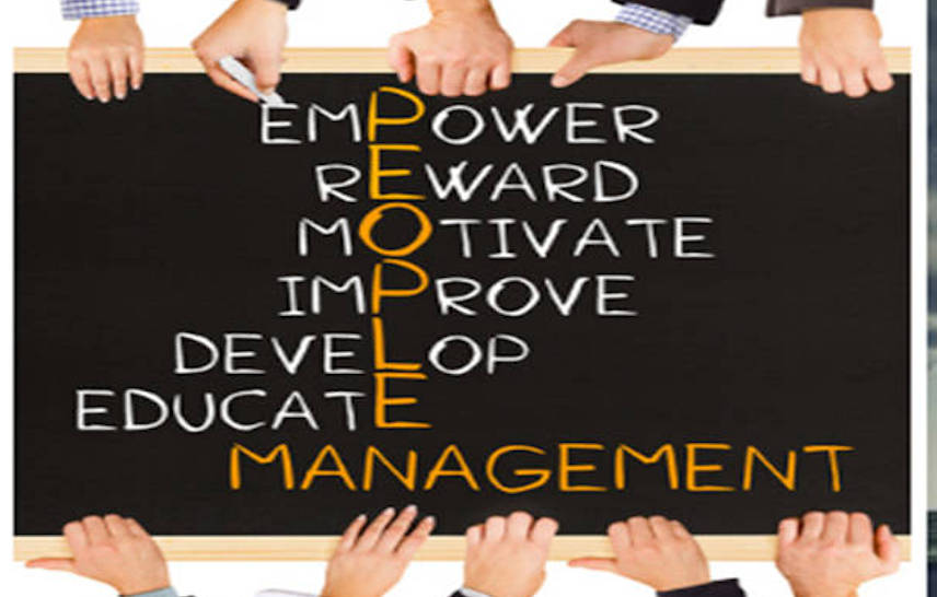 Management & Personal Development